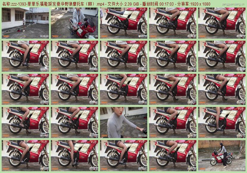 zzz-1393